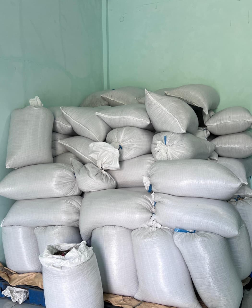 PT Goshen Export Packaging Warehouse
